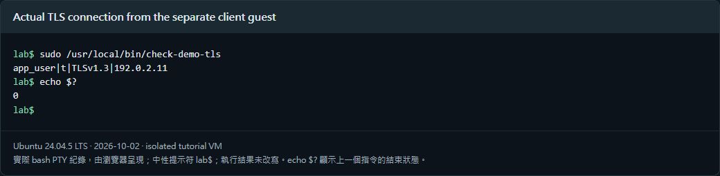 圖2:獨立客戶端的實際 TLS 連線;位址為文件範例